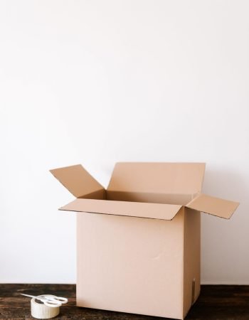 pexels-karolina-grabowska-4498135